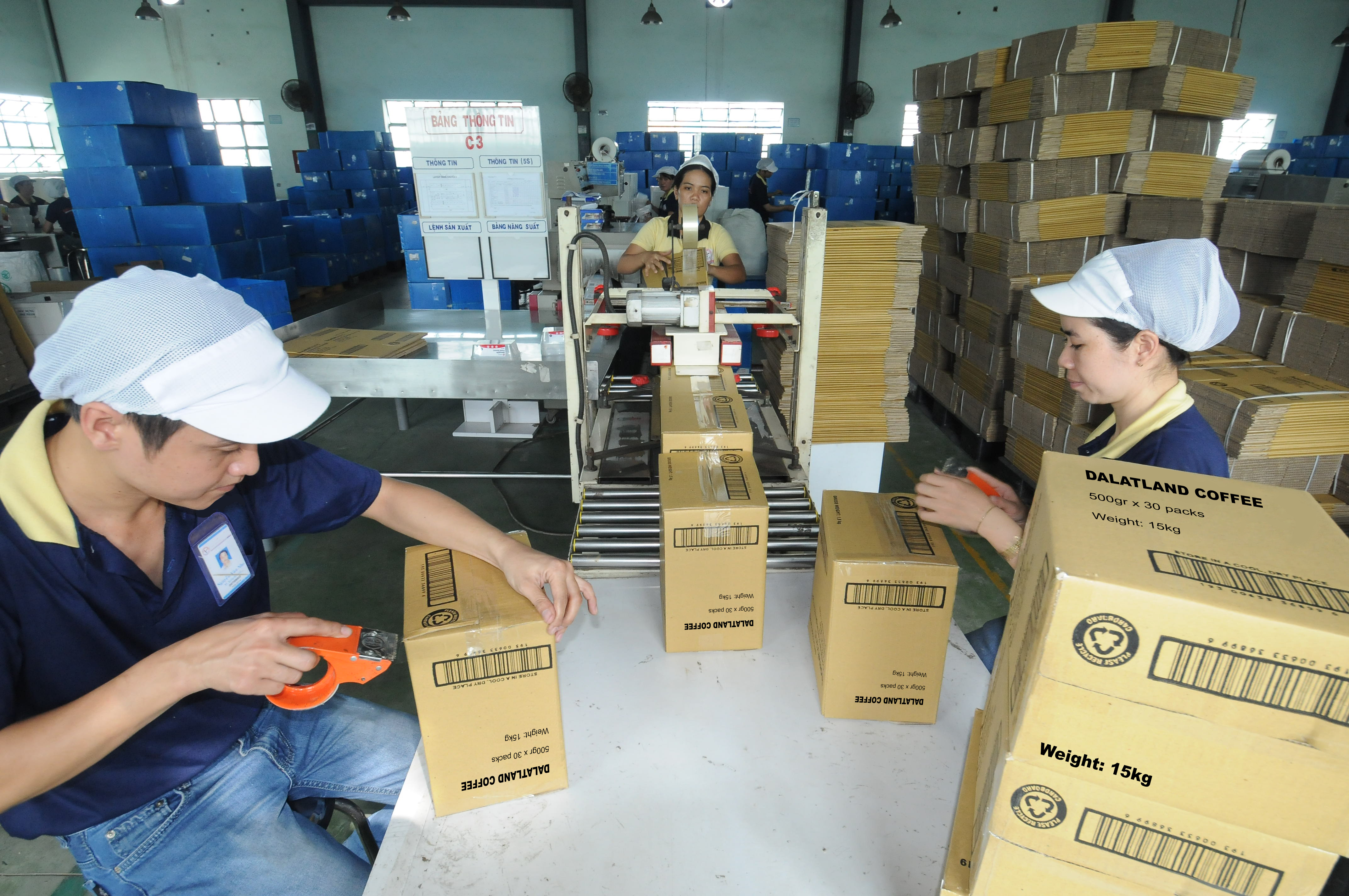 CBTT về Giấy chứng nhận Đăng ký Chi nhánh Công ty